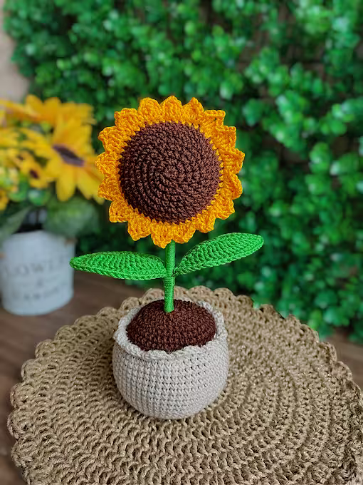 Girasol