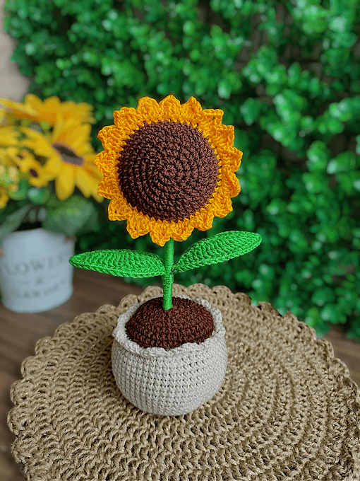 Maceta girasol Mediano